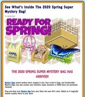 2020 Ganz Estore Spring Super Mystery Bag Webkinz  Spring Petals Armchair