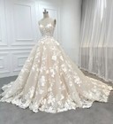 Exquisite Ivory Wedding Dresses Seep Train Lace Applique Soft Tulle Bridal Gowns