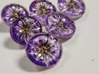 Amethyst Lotus Flower Czech Glass Buttons Lot Of 6 New Pour Vintage Mold 18mm
