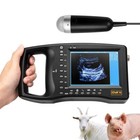 Veterinary Ultrasound Machine Lightweight  Portable Design For Pregnant Pig Goat