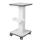 Rolling Trolley Cart Spa Beauty Salon Storage Equipment Machine Stand Organizer