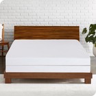 Zippered Mattress Encasement Waterproof Protector Hypoallergenic Mattress Cover
