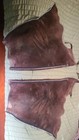 Vintage Brown Leather Trail Rider Cowboy Chaps Ykk Zippers Sz L  Used