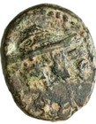Ancient  Roman Provincial Coin  Phoenicia Sidon 1st-2nd Century