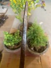 Indian Antique Hand Forged Iron Indian Tribal Hunting Spear Dagger Blade  Axe