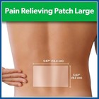 Salonpas Pain Relieving Patch  Large  6 Count  For 6 Count  pack Of 1   Multi 