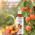 Apricot Kernel Oil Cold Pressed Carrier 100  Pure Natural Bulk