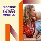 Nicorette Nicotine Gum 2mg Fruit Chill Flavor 200 Count Stop Smoking Aid
