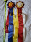 Washington State Hunter Jumper Assn  Horse Show Ribbons Awards Equestrian Events