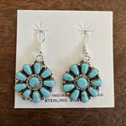 Native American Navajo Indian Cluster Dangle Turquoise Earrings Stunning Zuni