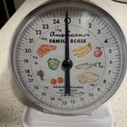 Vintage American Family Kitchen Scale White Metal 24lb Food Illustrations Retro