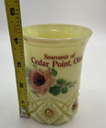 Vintage Custard Glass Souvenir Cup Cedar Point Ohio Floral Pointed Gold Trim