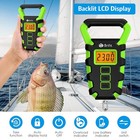 Digital Fishing Scale  110lb Weight Max  Electronic Portable Hanging Green 