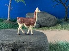 Britains Llama Figure 1 32 Vintage Collectible Plastic Model 1970s England  1365