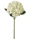  12pc 18  Cream Hydrangea Stems - Set Of 12  Large 7  Blooms  Home Decor - 
