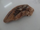 Antique Mongolian Tibetan Buddhist Hand Made Clay Tsa Tsa  Fragment