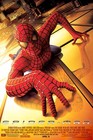 2002 Spiderman Movie Poster 11x17 Peter Parker Tobey Mcguire Goblin Marvel         