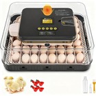 Automatic Egg Incubator For Hatching With Automatic Turning And Humidity- 56eggs