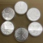 2025 American Eagl E 1 Troy Oz  999 Fine Lot Of 5