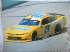 Dale Earnhardt Jr Signed  8 Hellmanns Chevy Camero Nascar 8x10 Photo
