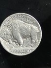 1913 S Type 2 Buffalo Nickel 5c Pcgs Vf Detail Key Date