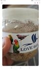Premium Black Soldier Fly Eggs 50 Grams Start Your Bsfl Colony Reptile Food
