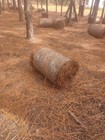 Round Bale  25lbs  Of Longleaf Pine Straw