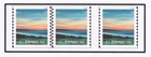  new  2026 Summer Sunset - Nonprofit Org  coil Pair   Sgl  Mnh -   after 06 25  
