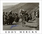 Eddy Merckx Signed Print- Tour De France 1975  Cycling Photograph