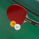 Mapol 60 22 Count 3-star 40  Premium Ping Pong Balls Advanced Practice Table