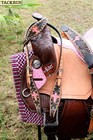 Horse Western Barrel Show Pleasure Leather Saddle Bridle  50273
