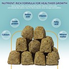 Freeze Dried Brine Shrimp Cubes 4 5 Oz  Brine Shrimp Freeze Dried Aquatic Foo   