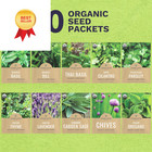 Organic Herb Seeds Variety Pack - 10 10 Varieties - Culinary Pack  Green 