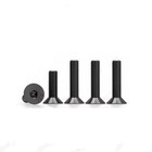 Fine Thread Black 12 9 Steel Hex Socket Countersunk Flat Head Screws M8 m10 m12