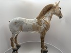 Peter Stone Equilocity Standing Draft Appaloosa Dah 2014 