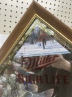 Miller High Life Beer Diamond Wildlife Series Mirror Sign Tip Up Northern Pike