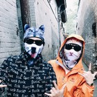 3d Animal Cat dog Balaclava Halloween Hat Full Face Mask Ski Mask Hood Headwear