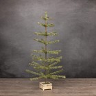 Ragon House Germany Style 48  Green Feather Tree W  Berries In Stenciled Wood Ba