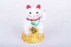 5  Tall Fortune Lucky Gold Cat Kitten Feng Shui Wealth Waving Maneki Beckoning