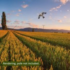 Grey Flying Bird Hawk Bird Scarer Kite Farm Crop Protector Flying Kite Bird