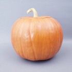 Vintage Halloween Cookie Jar Realistic Pumpkin W  Vine Lid Ceramic Large 9 