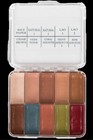 Premiere Products Skin Illustrator On Set Fleshtone Alcohol Activated Palette