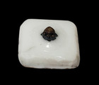 Square Glass Button With Blue Flower  Art Nouveau Design  Box Shank