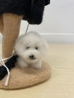 Handmade Wool Felt Doll  Cute Smiling Business Woman Walking Her White Dog