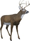 Outdoors 5965ms Boss Buck - Masters Series Deer Decoy