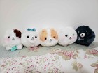 Nine Fuwa Mofu Pometan Pomeranian Amuse Plush Bundle Stuffed Toy Doll Japan