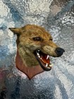P  Spicer And Sons Rare Antique Taxidermy Fox Mask Marked 1909