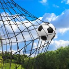 Soccer Backstop Net 10x40ft High Impact Nylon Barrier Practice Net
