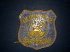 Slokkvilid Akureyrar Iceland Fire Department Patch