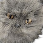 Ty Smokey Grey Realistic Fluffy Persian Kitty Cat With Yellow Eyes 1999 Plush